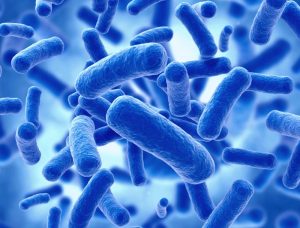 Anti-Microbial coatings for ironmongery